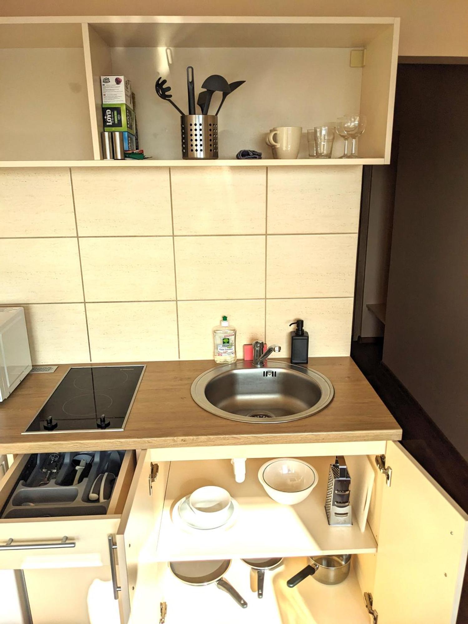 Studio Apartment Kaunas Dış mekan fotoğraf